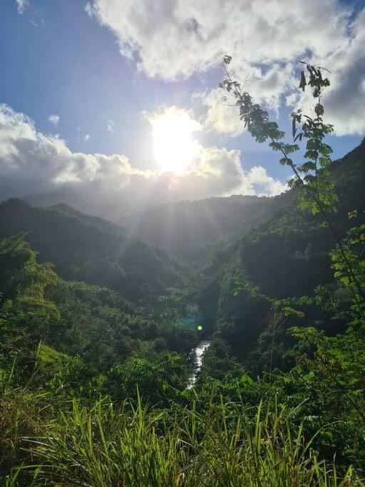 Ti Sucrier Jaune - Douceur Caraibe Vue Mer Le Carbet Exterior foto